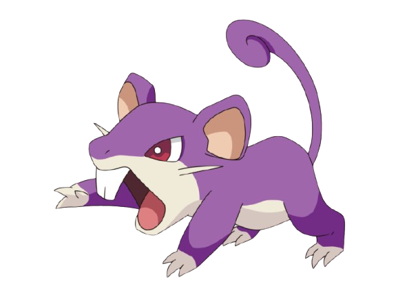 Rattata